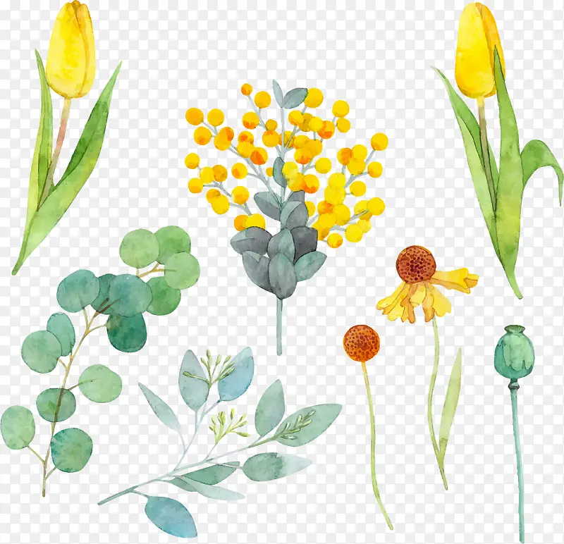 �ֻ�ˮ������ֲ��-������