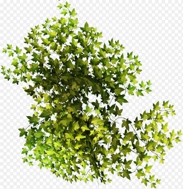 װ��ͼƬ�زĻ���ps�ز�-������