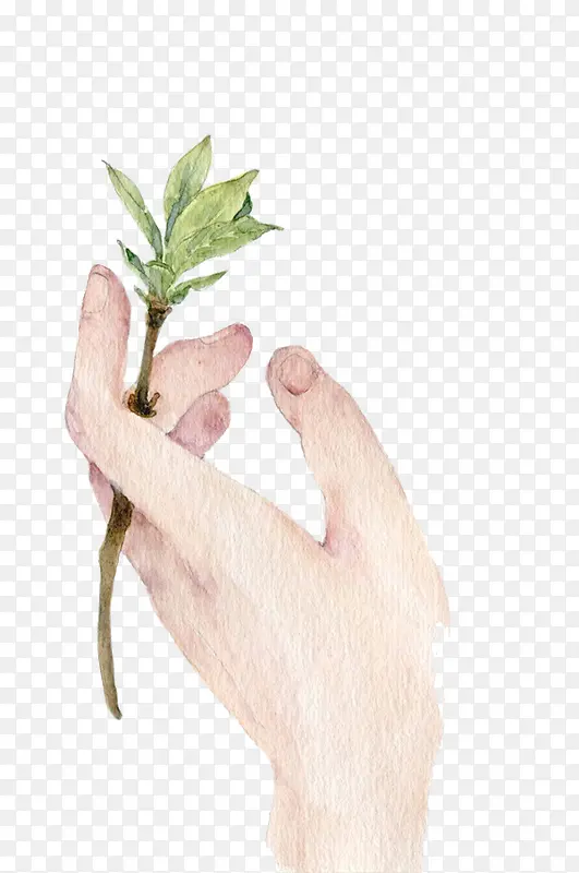 �廭��-������