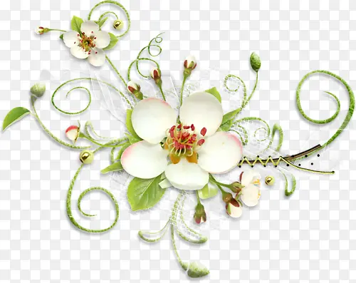 ����ʸ���زĻ���ʸ��ͼ�ز�-������