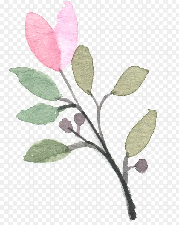 �ֻ�ֲ��-������