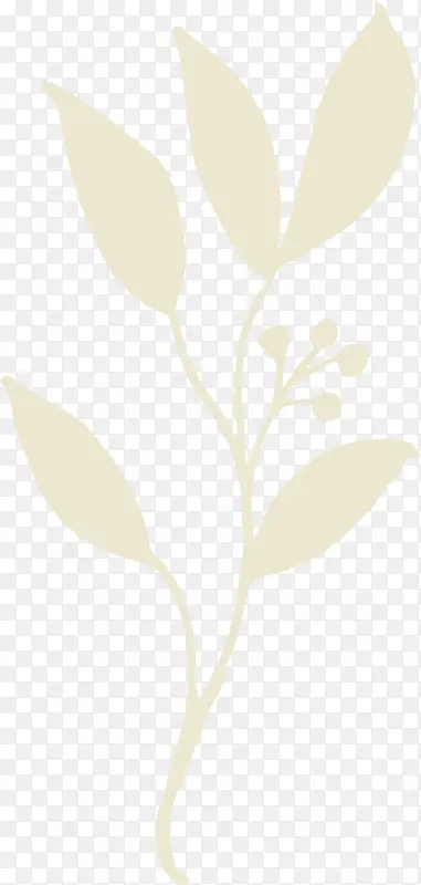 �ֻ�ֲ��-������