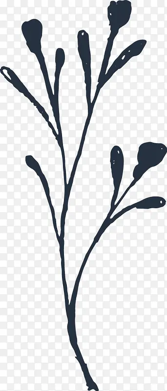 �ֻ�ֲ��-������