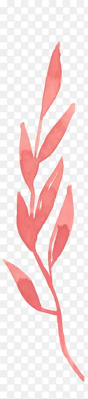 �ֻ�ֲ��-������