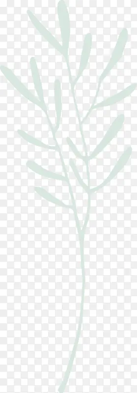 �ֻ�ֲ��-������