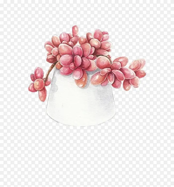 �ֻ�ֲ��-������