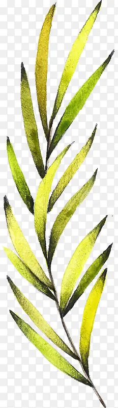 ˮ��ֲ��-������