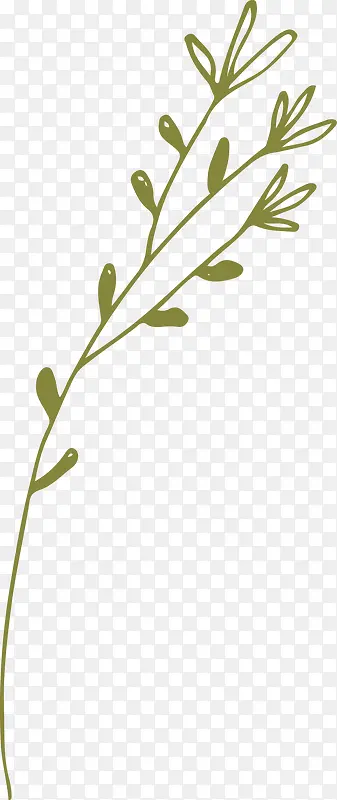 �ֻ�ֲ��-������