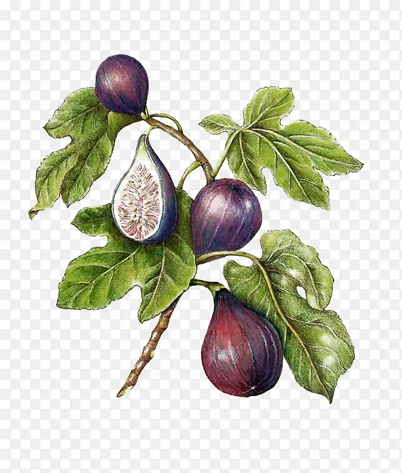 ˮ��-������