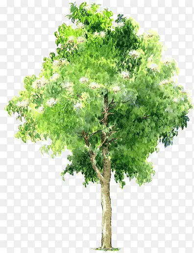 �ֻ���ľ-������