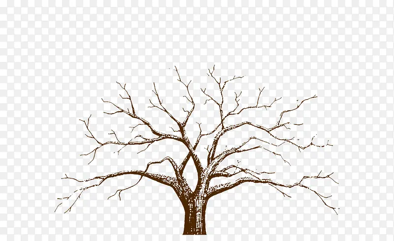 �廭��-������