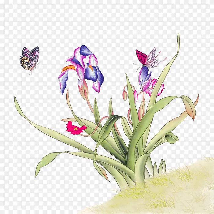 �ֻ�ֲ��-������