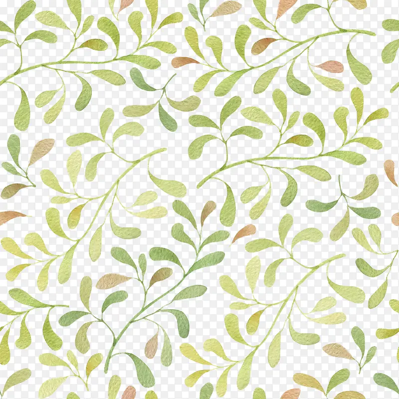 �ֻ�ֲ��-������