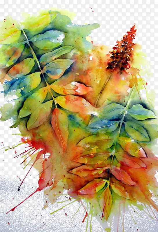 �ֻ�ֲ��-������