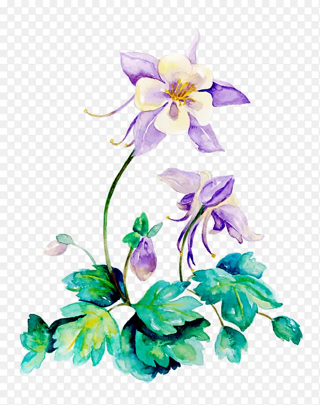 ˮ�ʷ绨��-������