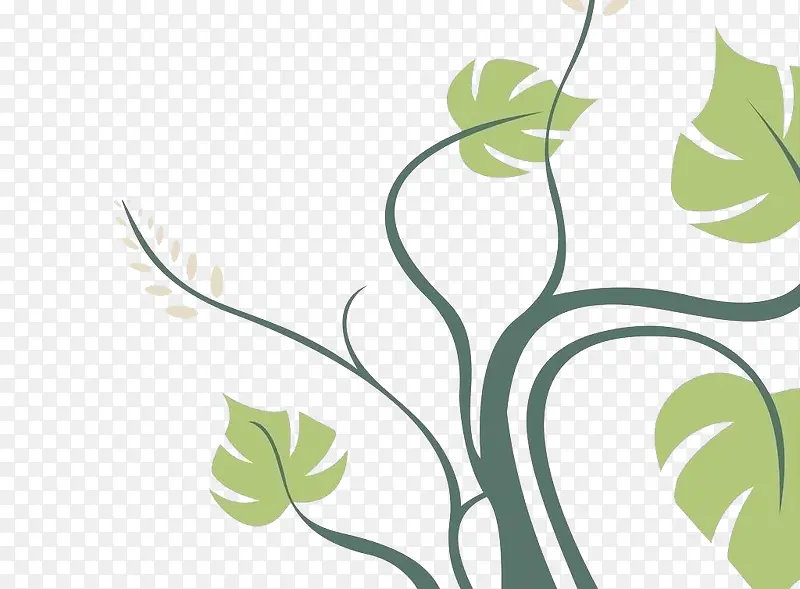 �廭��-������