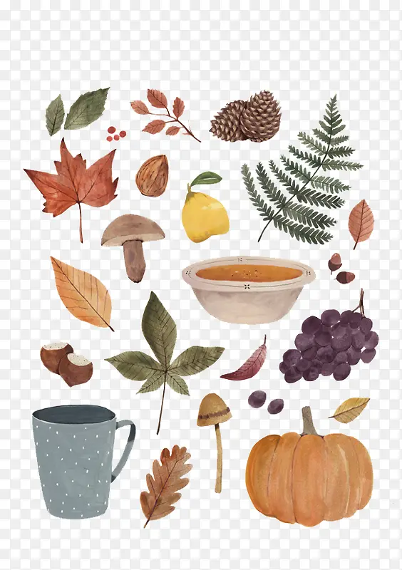 ˮ��ֲ��-������