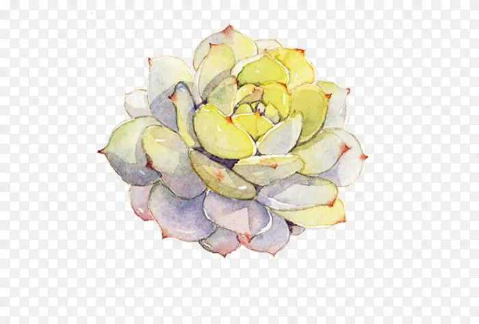 ֲ��-������