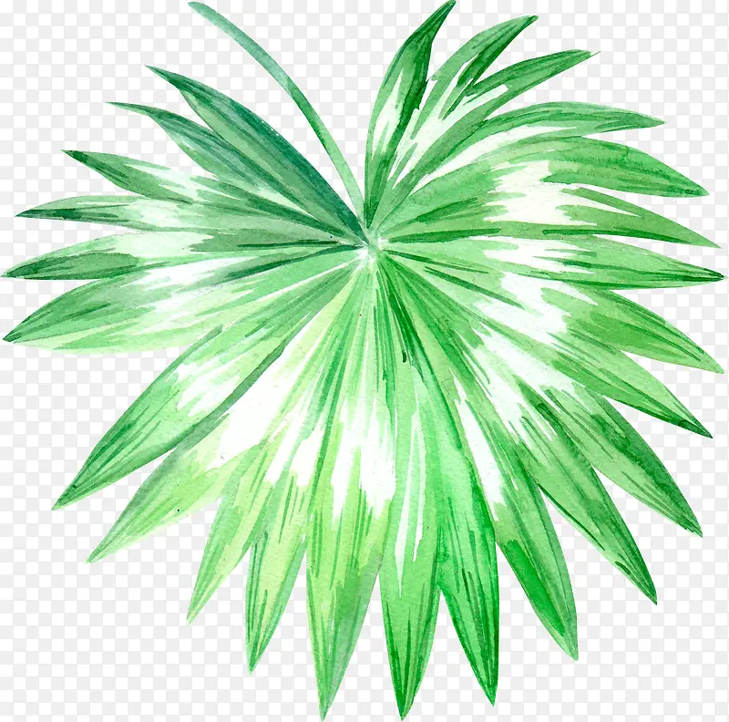 �ʻ�Ҷ��-������