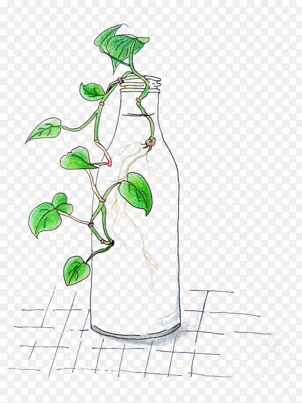 ֲ��-������