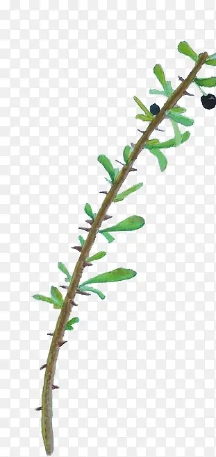 �ֻ�����-������