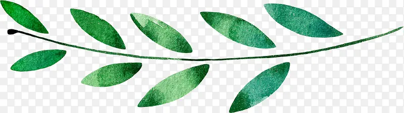 �ֻ�ˮ����Ҷ-������