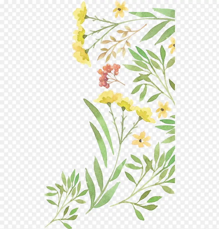 ˮ��ֲ��-������