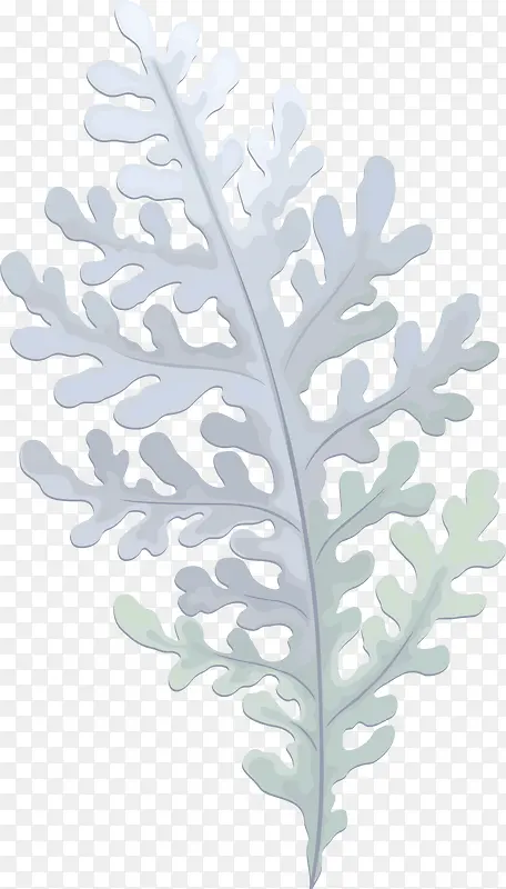 �ֻ�ֲ��Ҷ���ز�-������