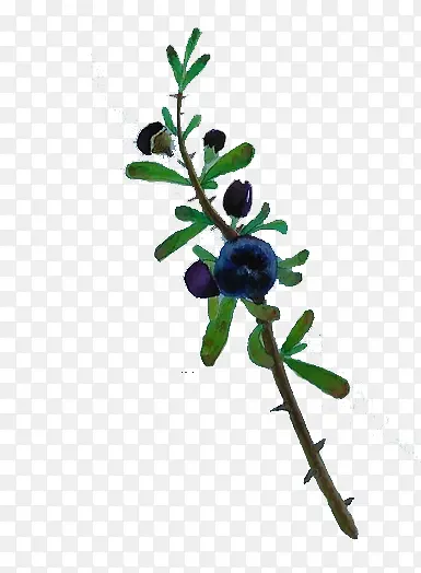 �ֻ��ɫ���-������