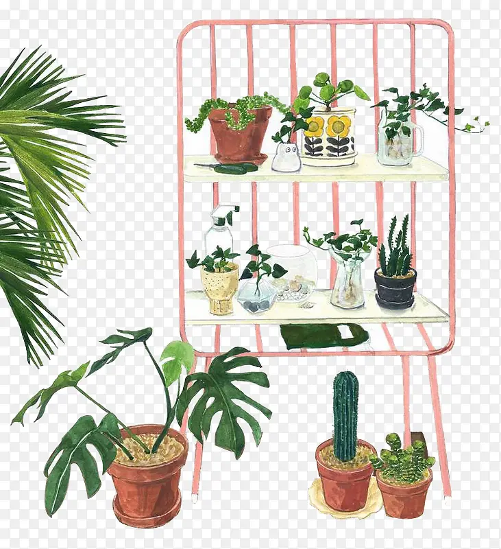 ˮ��ֲ��-������