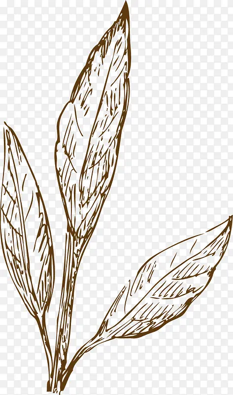 �ֻ�Ҷ��-������