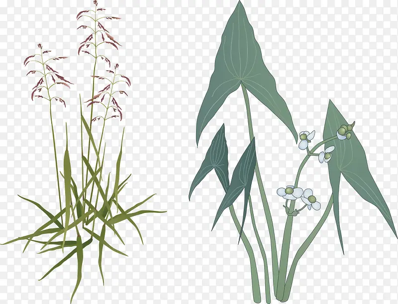 �ֻ滨��ֲ���й���ʸ��ͼ-������