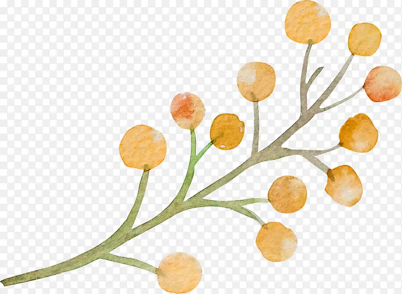 �ֻ�ֲ��-������