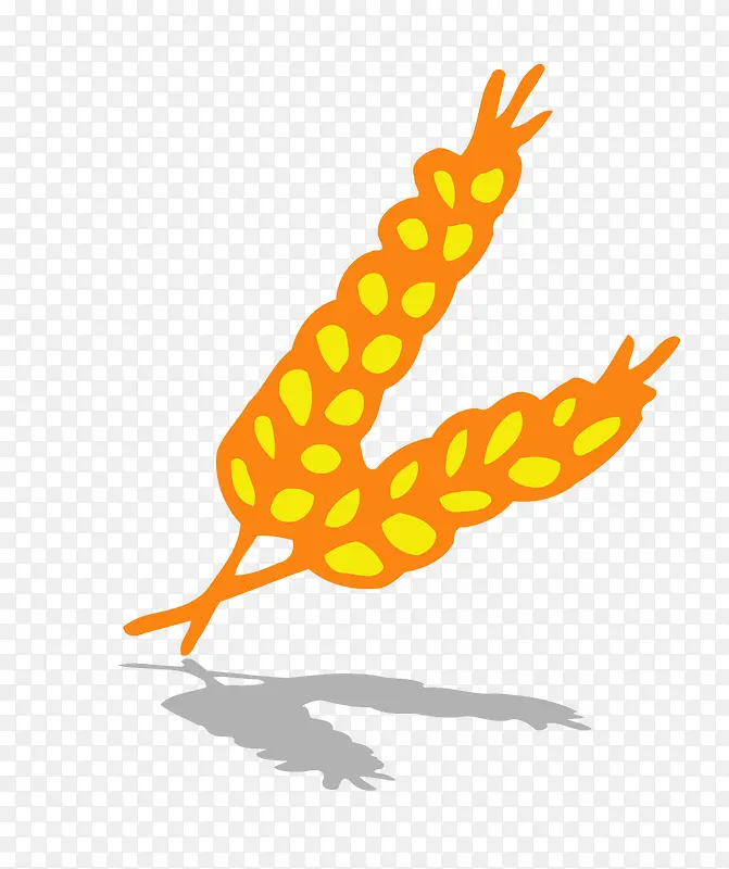 ��ֲͨ���ز�-������