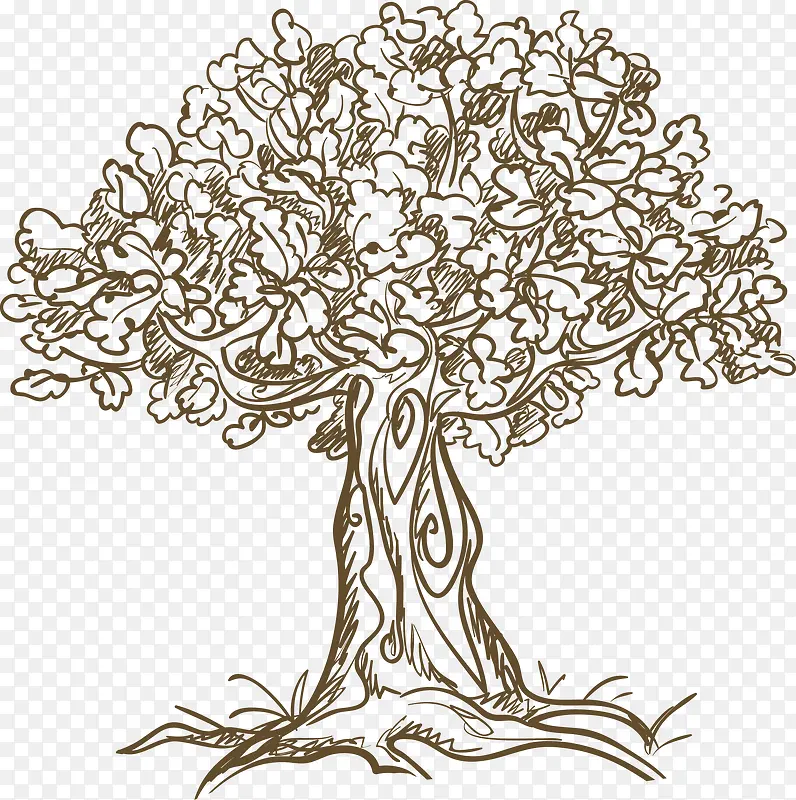 �ֻ�ֲ����-������