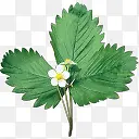 �ֻ滨��-������