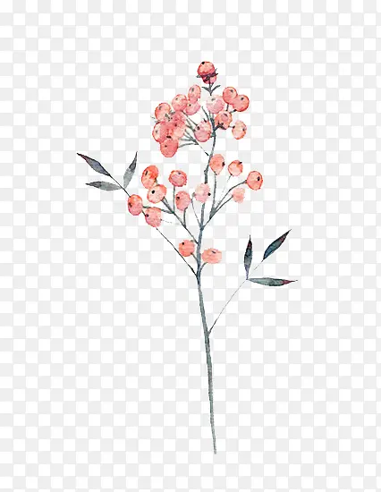 ˮ��ֲ��-������