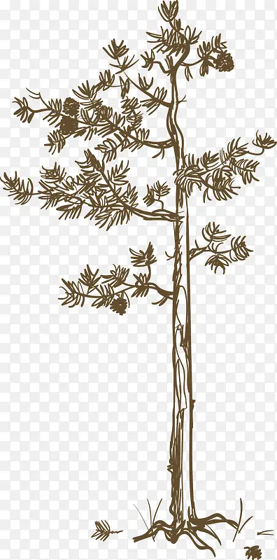 �ֻ�ֲ����-������