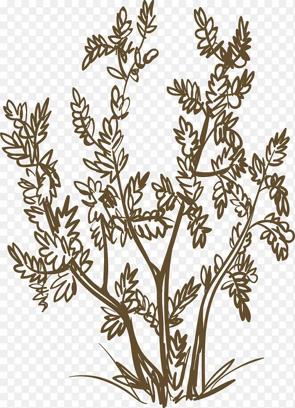 �ֻ�ֲ����-������