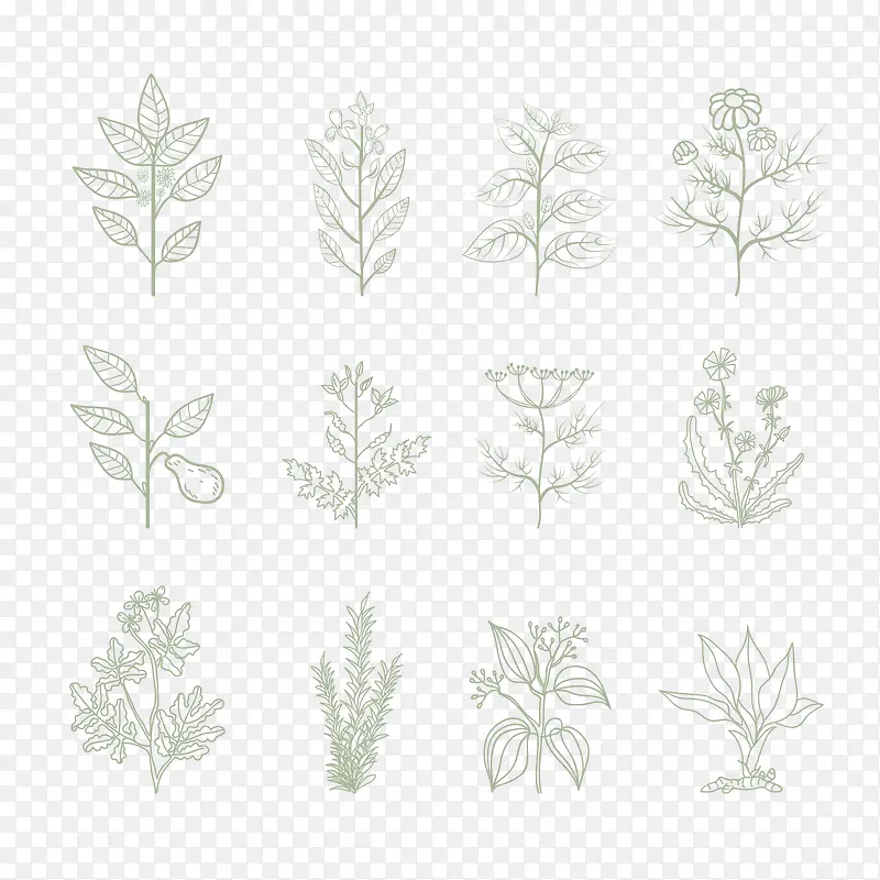 ʸ���ֻ�ֲ��-������