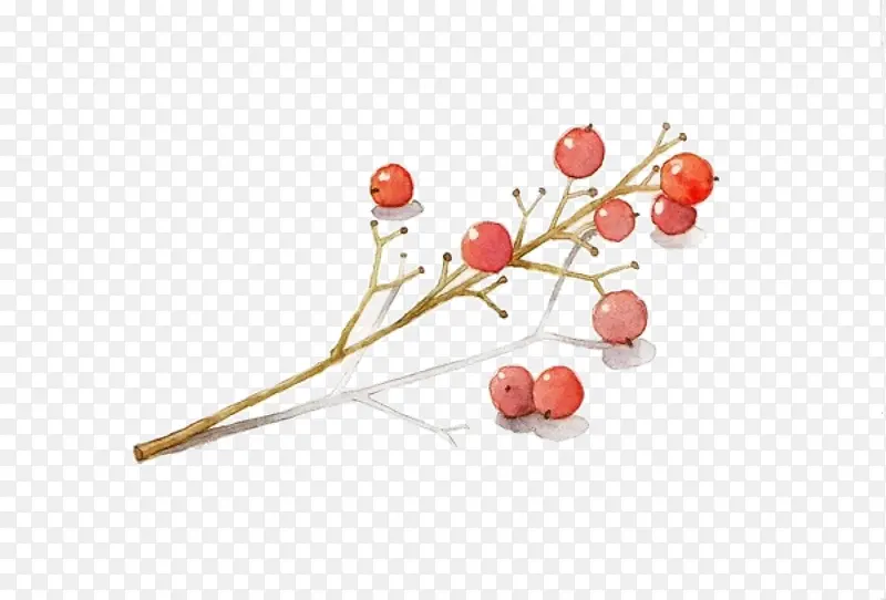 ֲ��-������