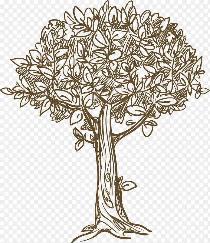 �ֻ�ֲ����-������