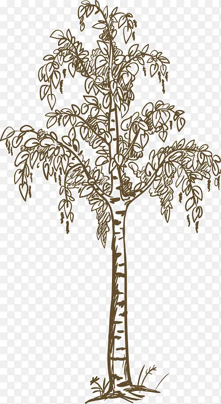 �ֻ�ֲ����-������