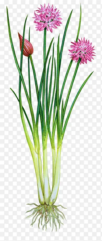 ���ܱ����ز����軨��-������