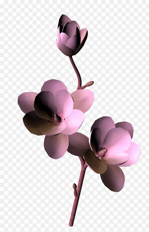 ֲ�ﻨ���ز�-������