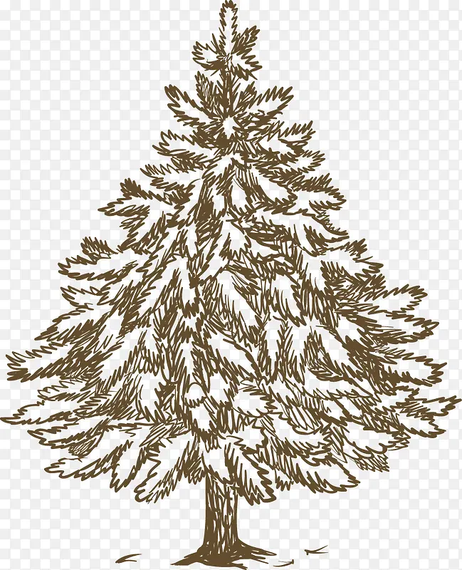 �ֻ�ֲ����-������