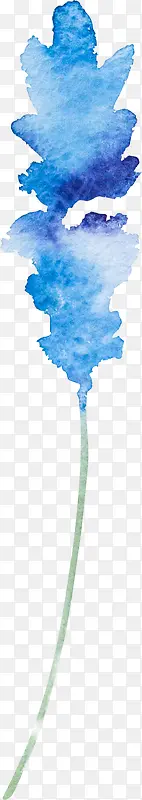 ˮ��ֲ��-������