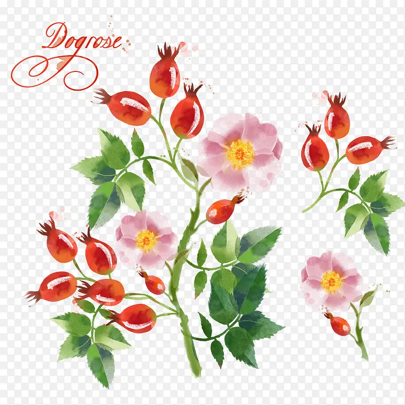 �ֻ����-������