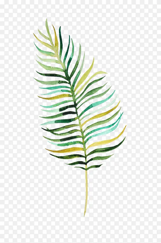 ˮ����Ҷ-������