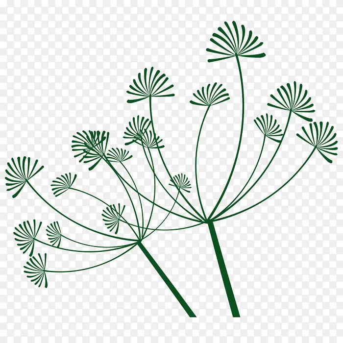 �ֻ�ֲ��ݱ�-������